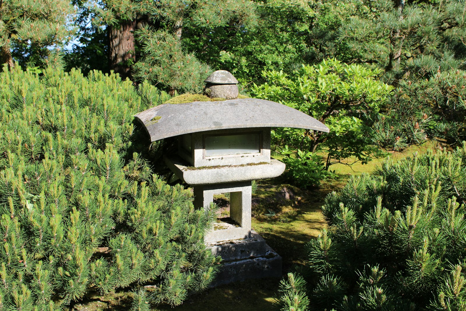中庭と石灯籠