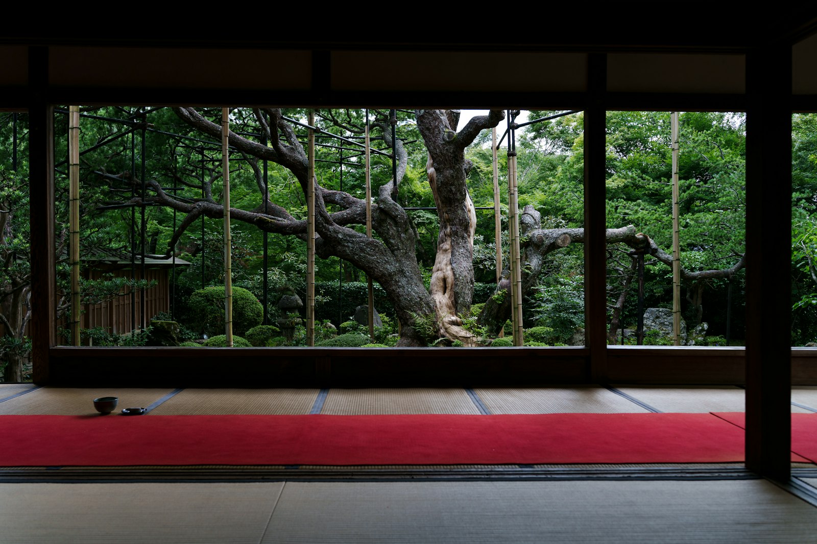朝日の間「あさぎ」（3枚目）